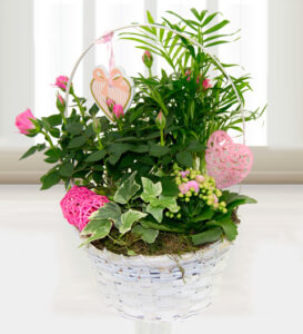 Mums Flower Basket
