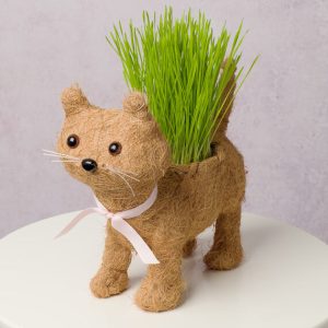 Cat Grass Planter