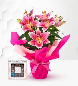 Lovely Lily Gift