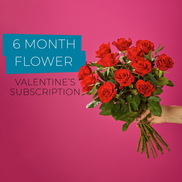 Valentine's 6 Month Flower Subscription